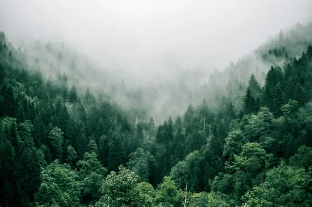 Naturaleza